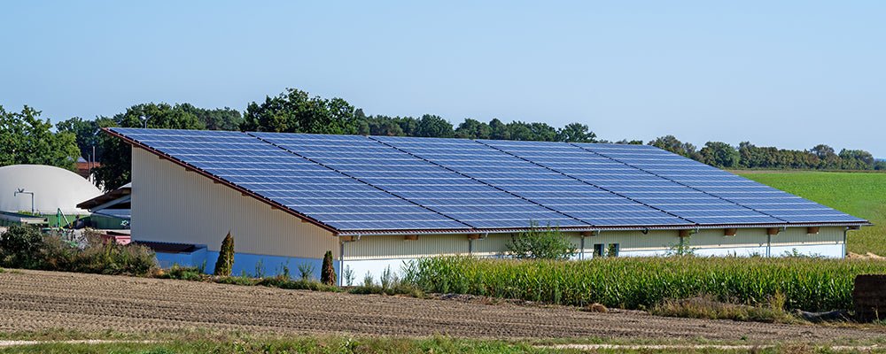 How much electricity does a solar panel produce - zoupw